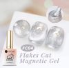 Ur Sugar Flakes Magnetic -  Mágneses Gél Lakk Fc04 TPO Free