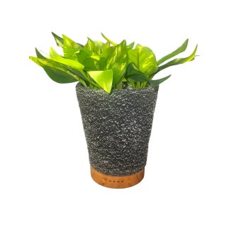   Virágcserép formájú Diffúzor/Párásító  Zöld Mű Virággal, 7 színű Led fénnyel 