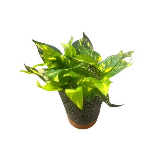 Virágcserép formájú Diffúzor/Párásító  Zöld Mű Virággal, 7 színű Led fénnyel 